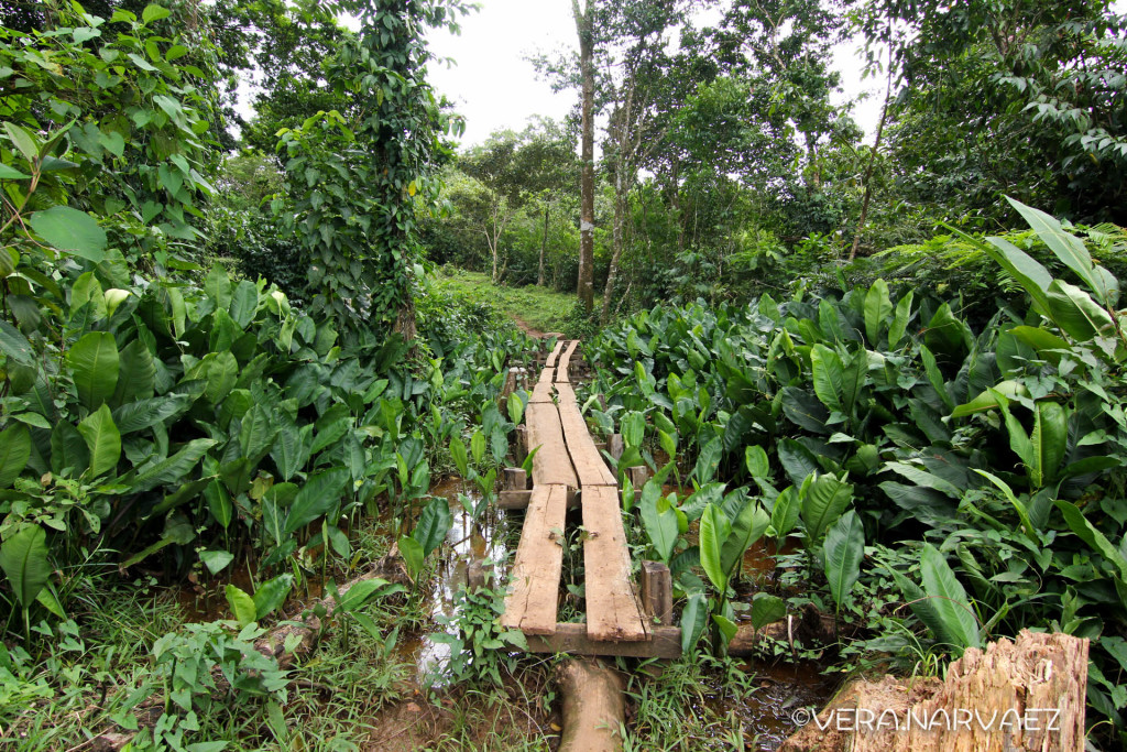 BANGKUKUK TAIK, un pueblo escondido en un paraíso amenazado