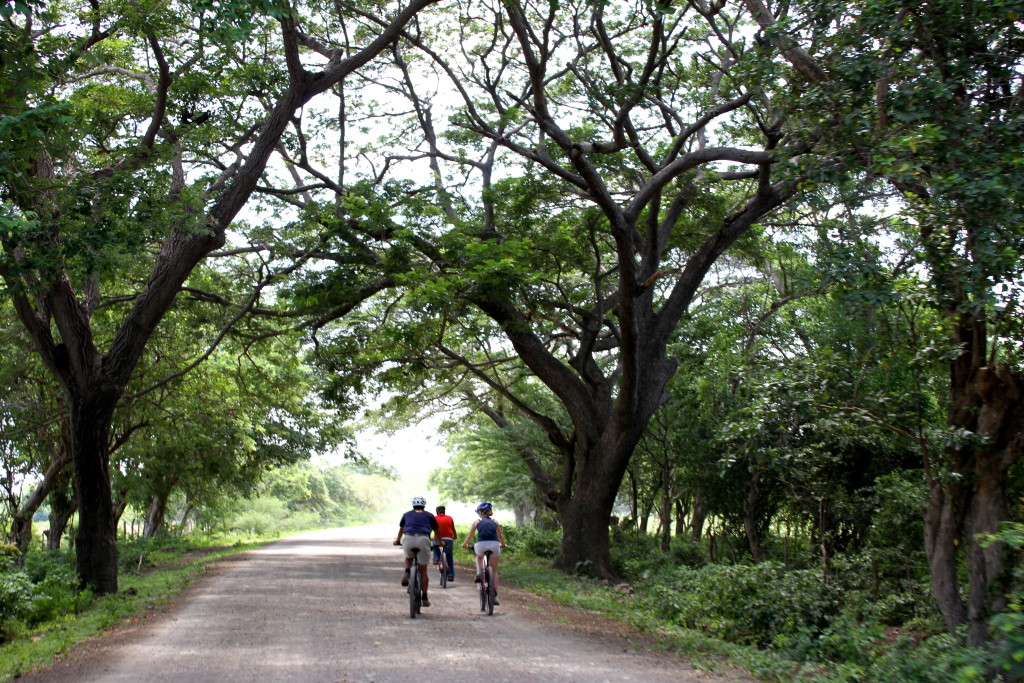 La estancia del Mono Congo