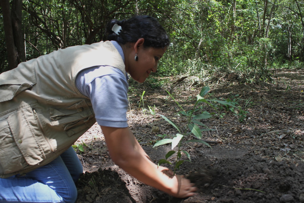 La estancia del Mono Congo