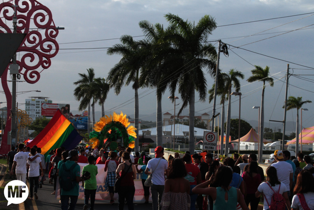 Así estuvo la marcha de la diversidad sexual