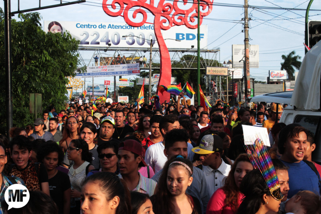 Así estuvo la marcha de la diversidad sexual