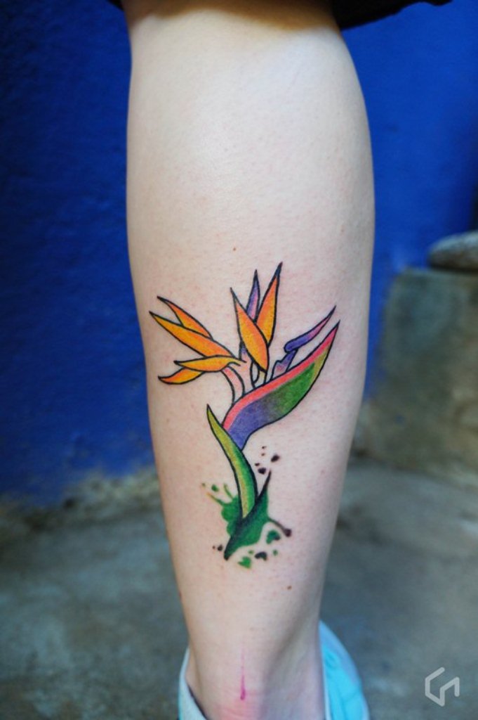 Daniela Mercado: Ilustración, tatuajes y más