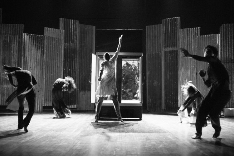 Pretextos y estrategias para desaparecer de Daisy Servigna