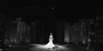 Pretextos y estrategias para desaparecer de Daisy Servigna