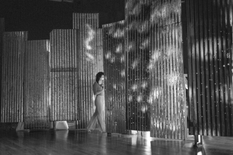 Pretextos y estrategias para desaparecer de Daisy Servigna