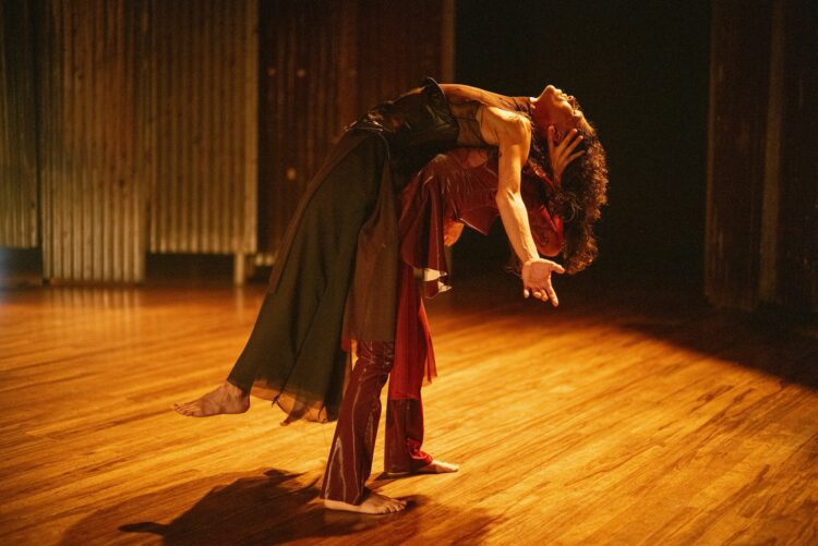 Pretextos y estrategias para desaparecer de Daisy Servigna