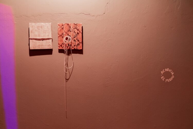 Colectiva Nuestra, creación sin límites en Ciudad de Panamá